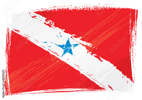 Brazilian state Para