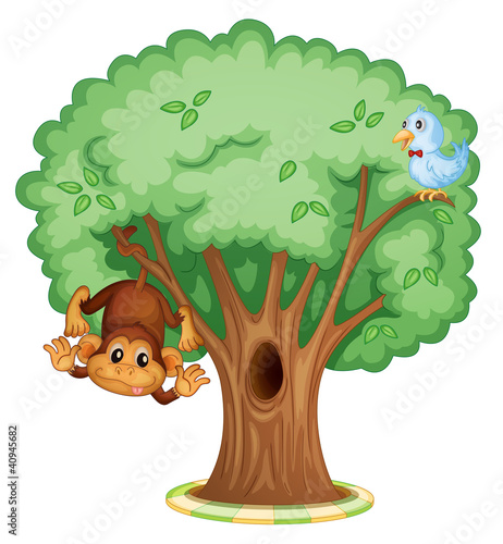 Animals in a tree