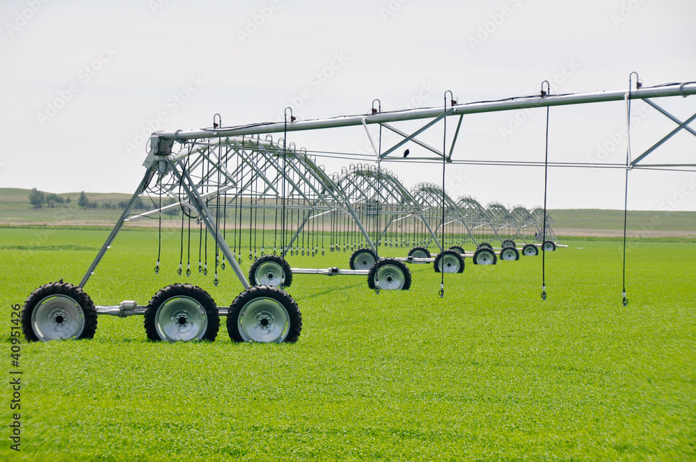 Irrigation sprinklers in a farm field (Canada)