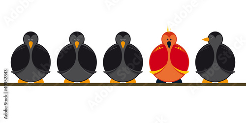 Vogel Seil Birds Rope Vielfalt Aussenseiter