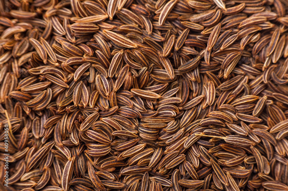 Closeup of caraway-seeds
