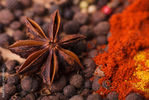 Fototapeta Closeup of spices composition, anise, cinnamon, paprica, curry,