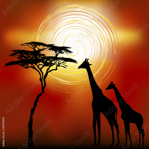 Naklejka na szafę Afrykańska flora i fauna krajobrazowa w czasie zachodu słońca z żyrafami