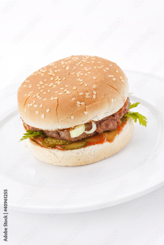 hamburger on the plate hamburger on the plate