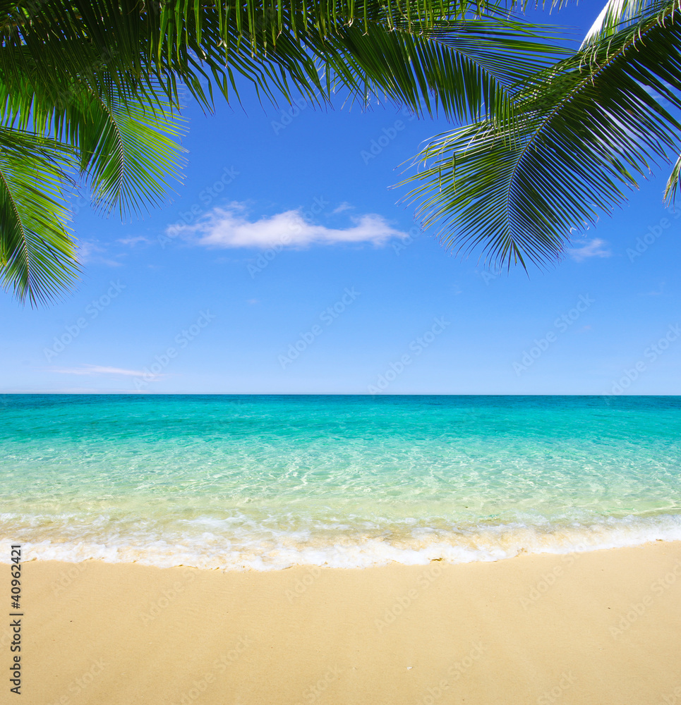 beach and tropical sea