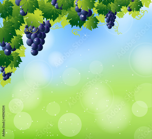 green wine and bunch of blue grapes