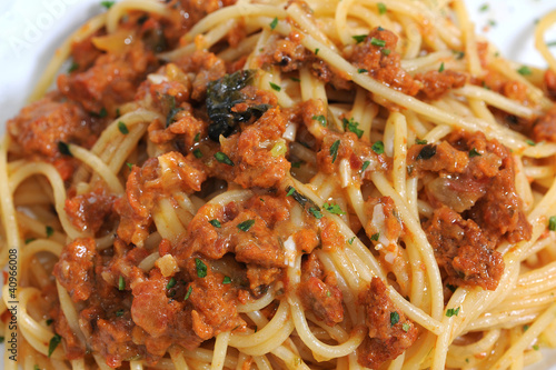 spaghetti photo