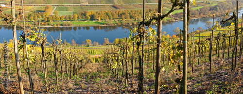 Moseltal Panorama photo