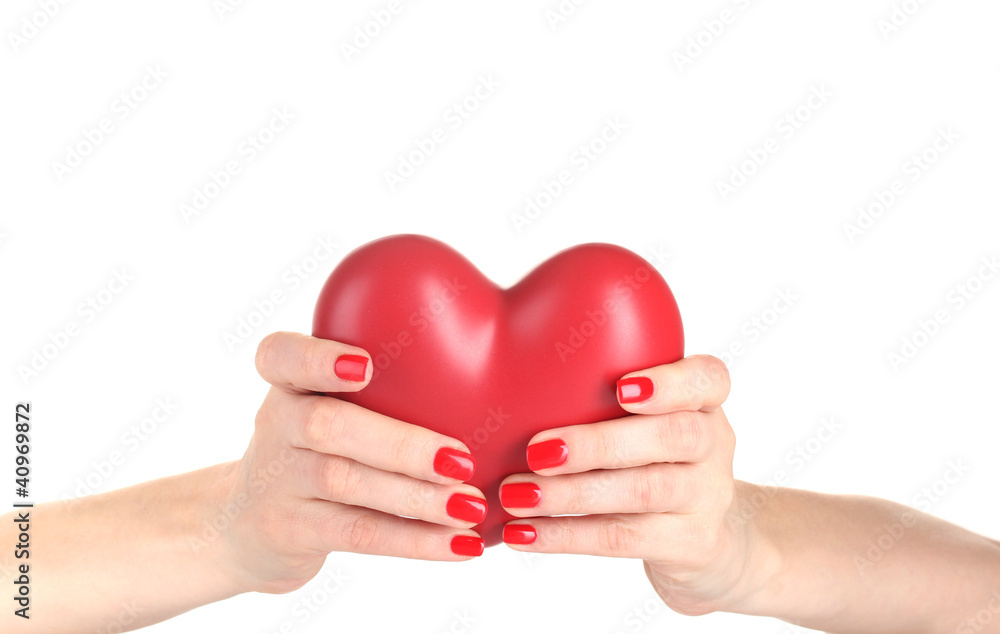 Red heart in woman's hands isolated on white Red heart in woman's hands isolated on white