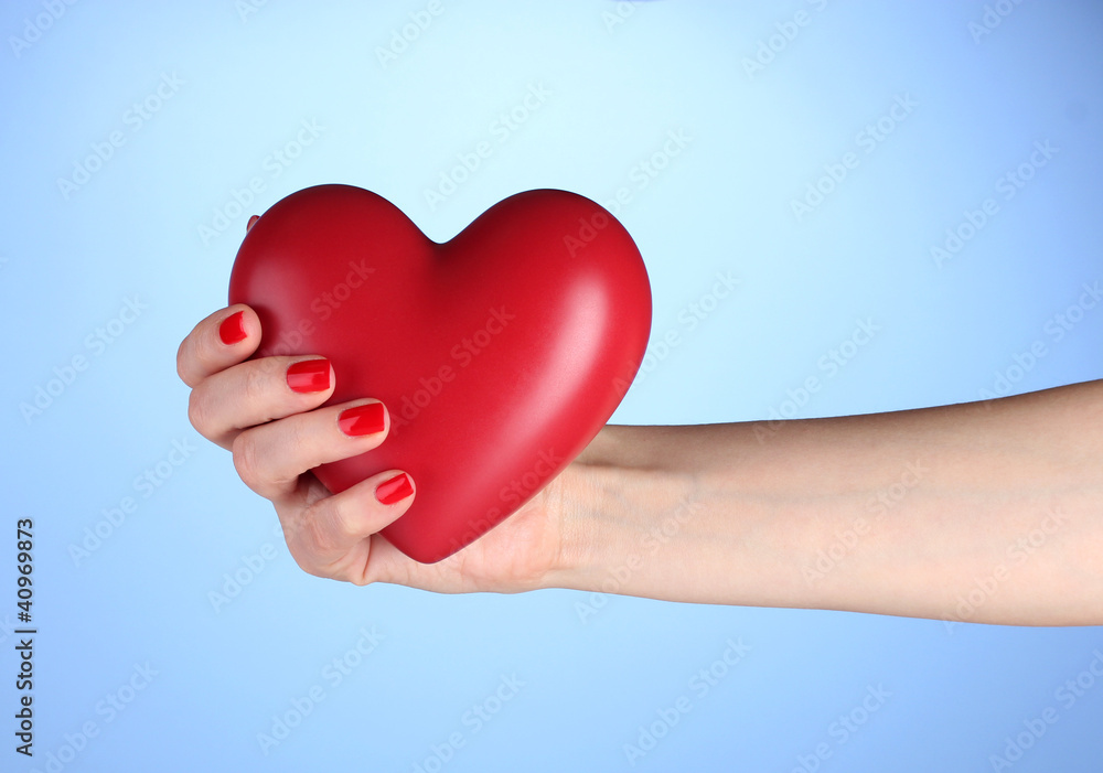 Red heart in woman's hand on blue background Red heart in woman's hand on blue background