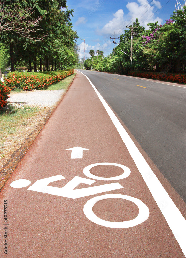 Obraz premium Bicycle road.