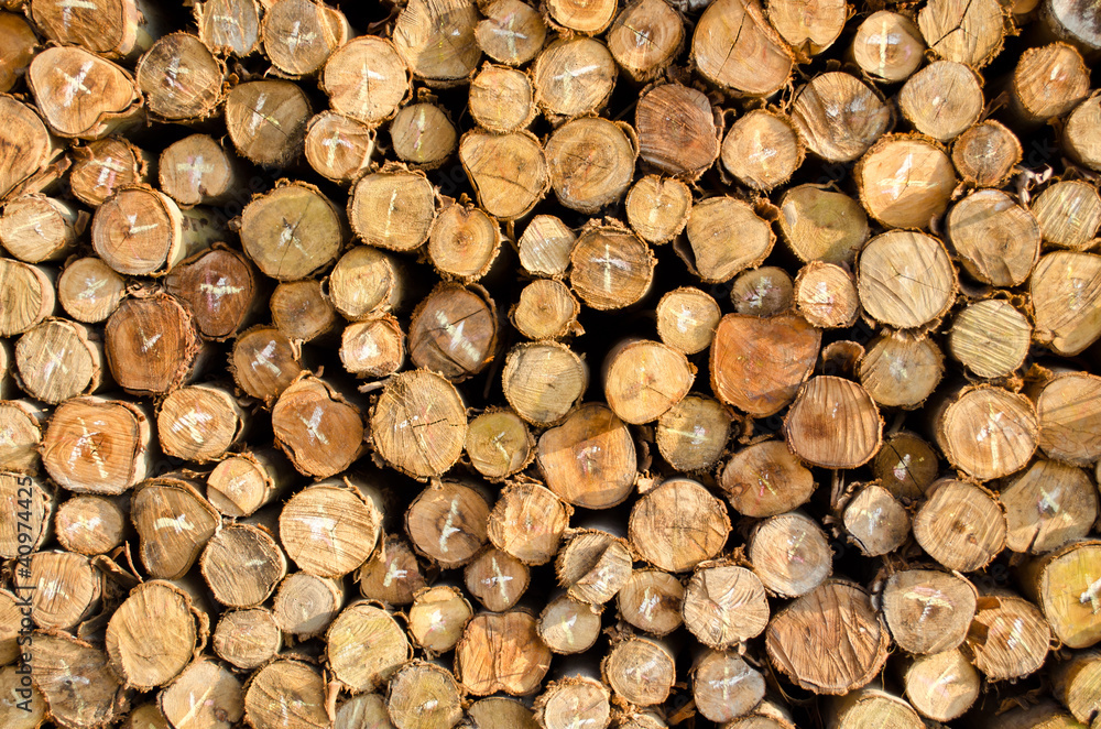 pile of firewood logs background pile of firewood logs background