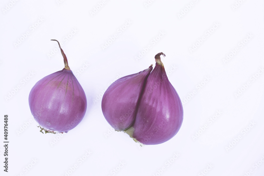 Obraz premium shallots