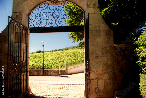 Gate to wine paradise