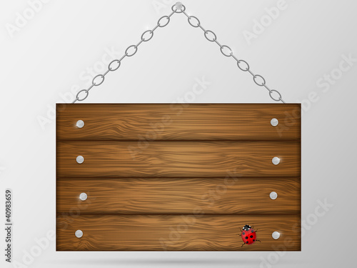 Fototapeta Naklejka Na Ścianę i Meble -  Wooden signboard with ladybird. Vector illustration.