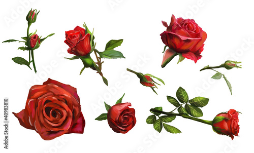 Decorations of red roses blooms