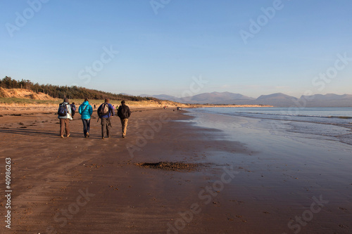 Llandwyn Island