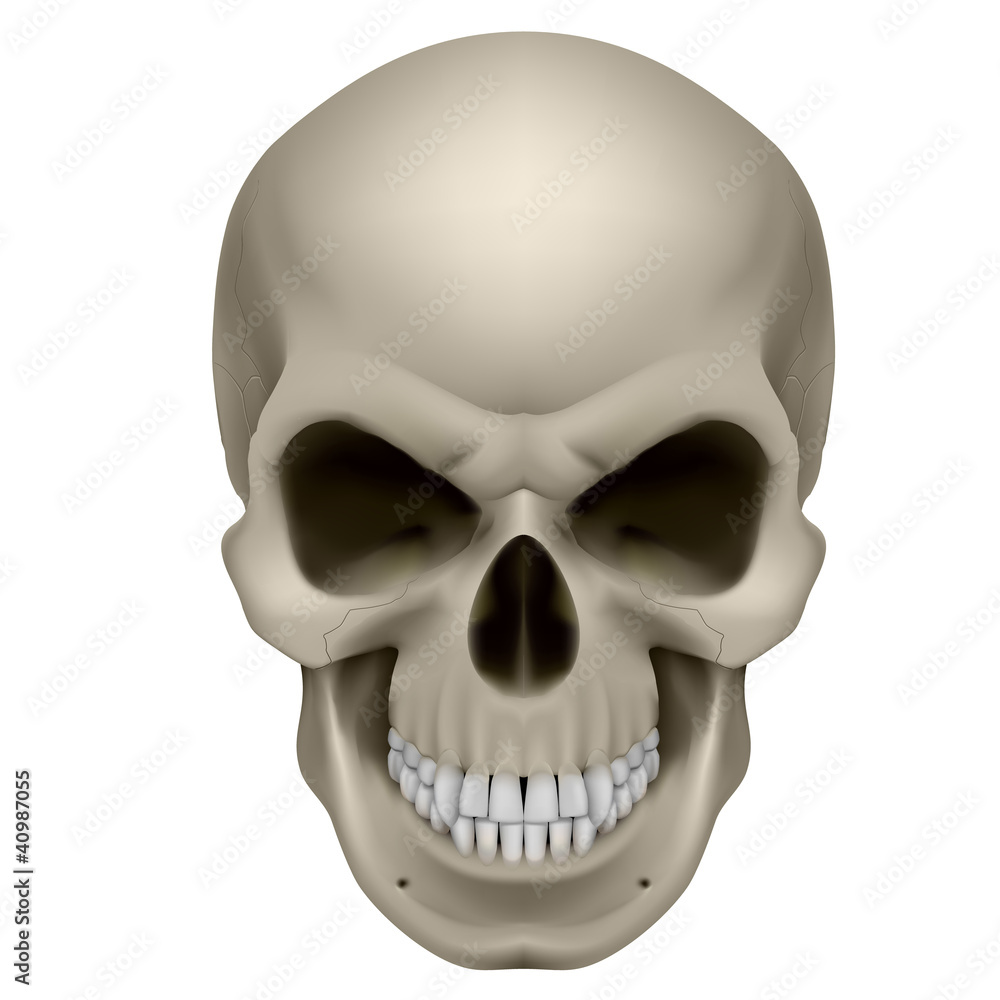 Obraz premium Human Skull