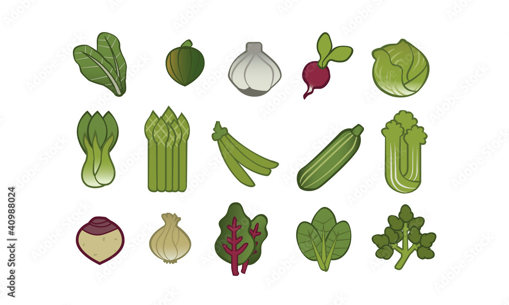 15 Sorten Gemüse illustriert Icon 2 15 Sorten Gemüse illustriert Icon 2