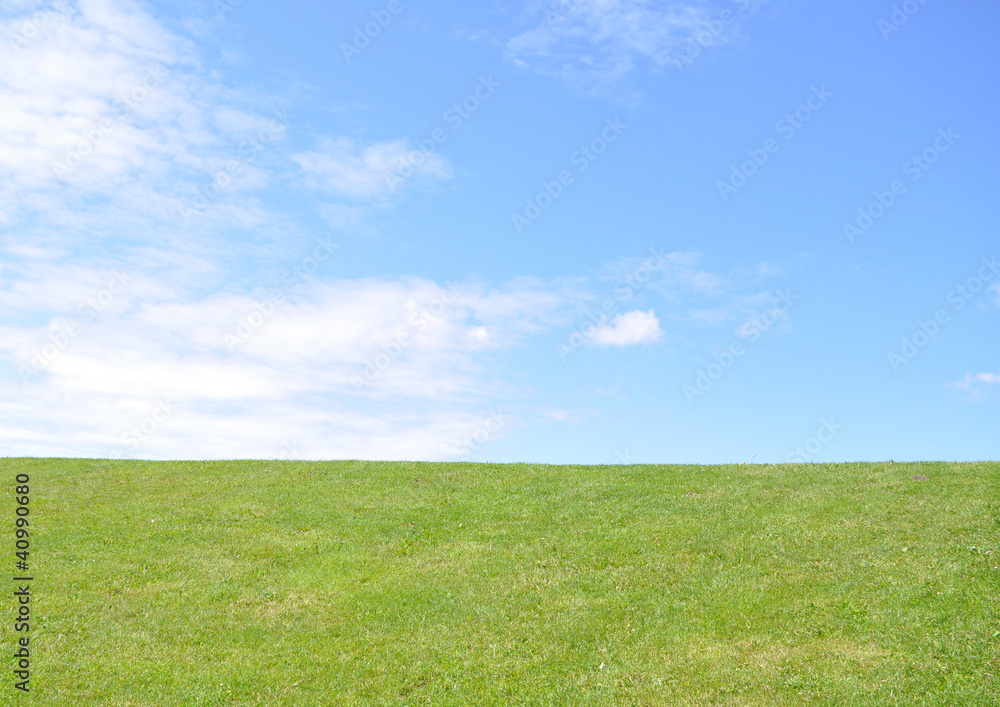 Fototapeta premium Deich an der Nordsee