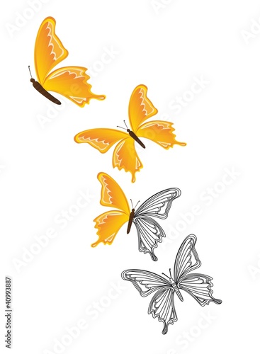 yellow butterfly