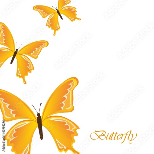 yellow butterflies