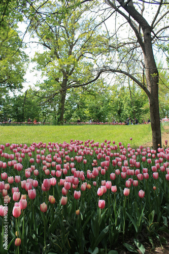 Wallpaper Mural Castello di Pralormo Torontodigital.ca