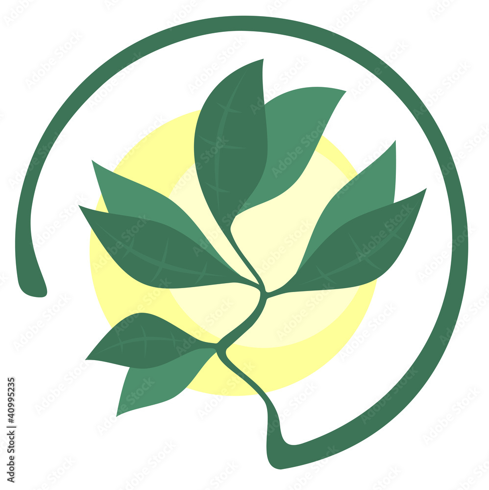 Naklejka premium Nature tree