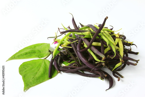 Blaue und gelbe Buschbohnen