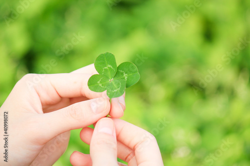 四つ葉のクローバー