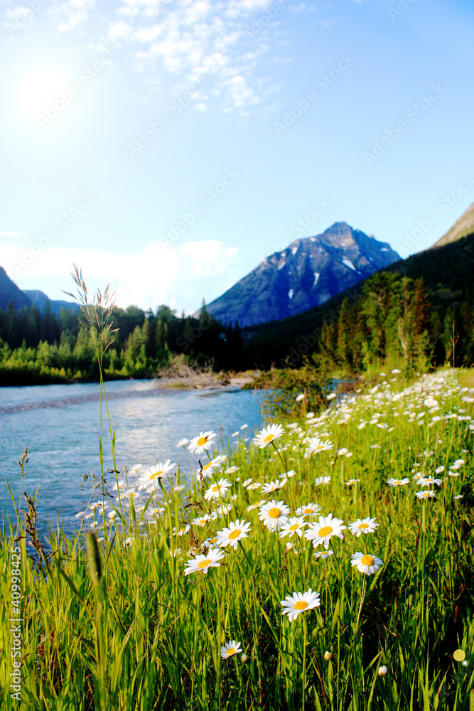River Valley with white flowers