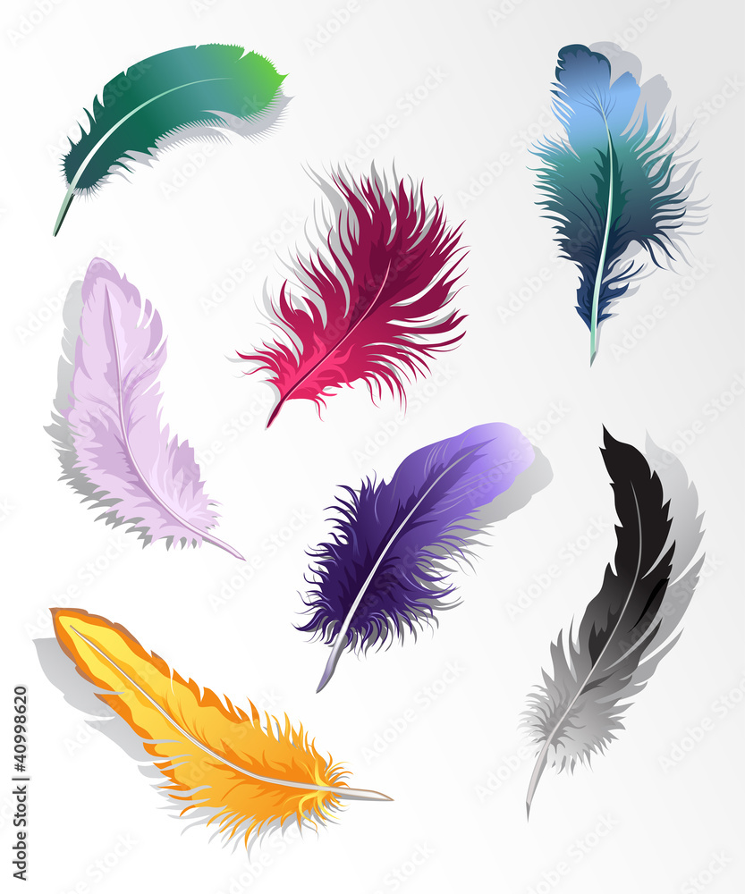 Set of 7 colorful feathers. Set of 7 colorful feathers.