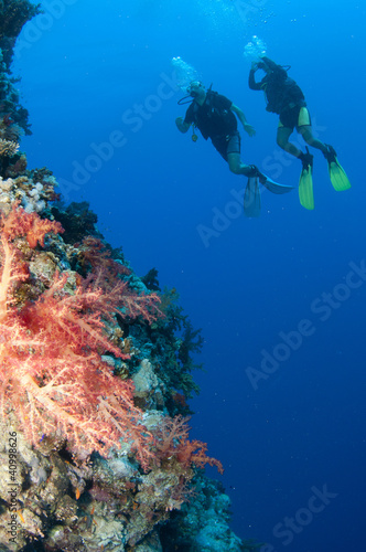 two scuba divers enjoy a happy dive together