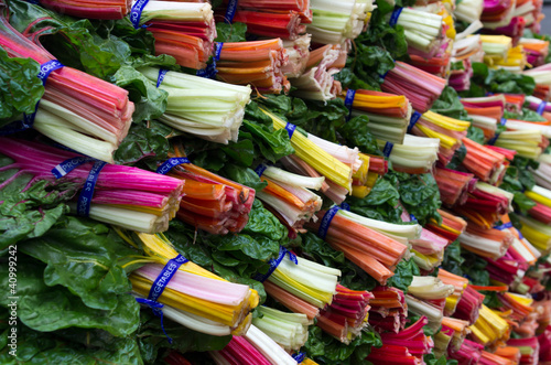 Fresh colorful swiss chard © zigzagmtart