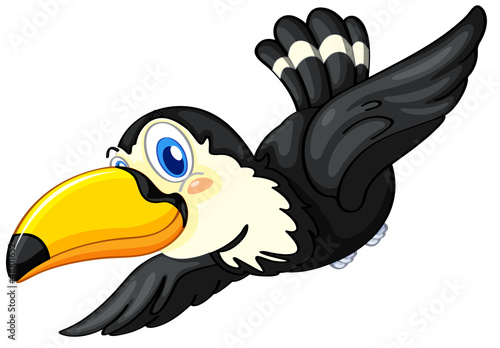 Toucan on white background