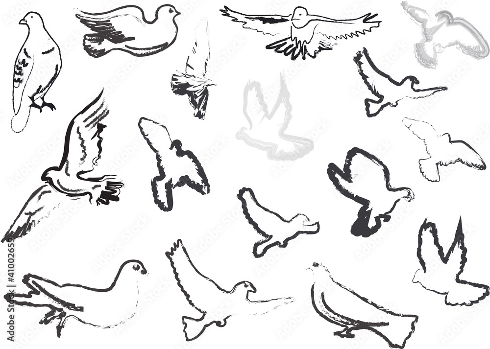 pigeon sketches collection isolated on white
