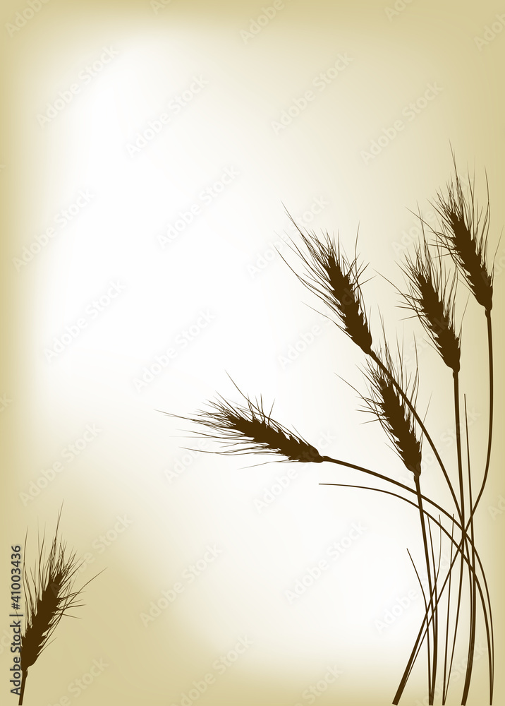 Obraz premium dark wheat silhouettes on golden background