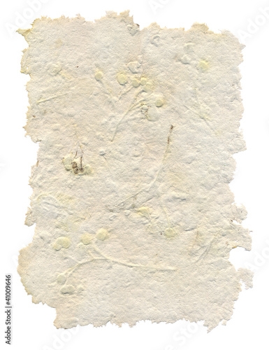 Handmade paper with leaves and flowers inside