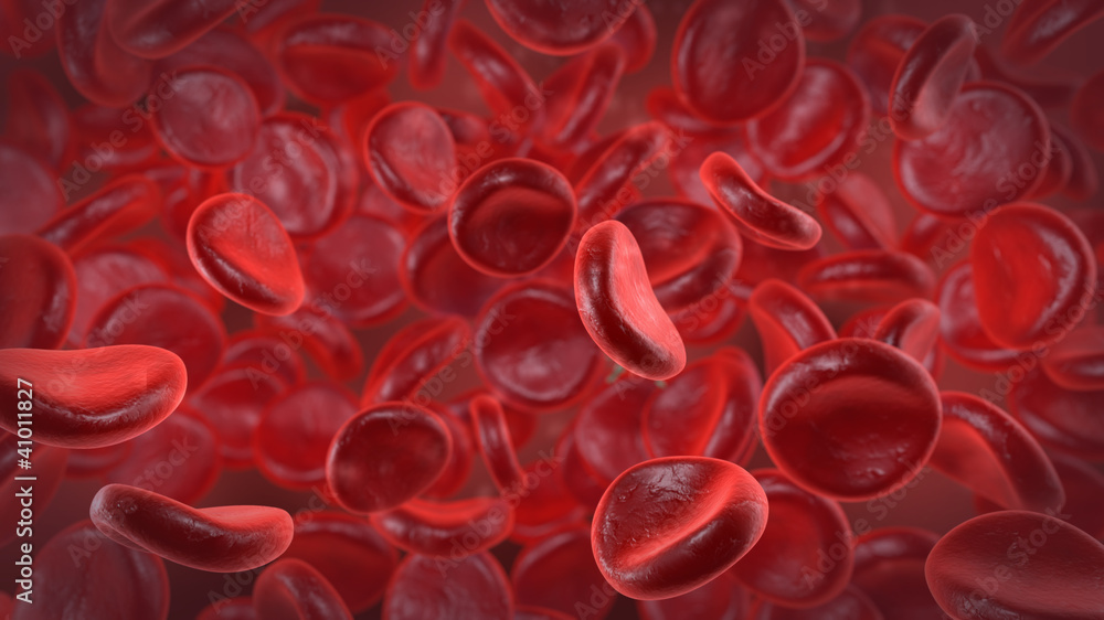 Blutstrom mit roten Blutkörperchen