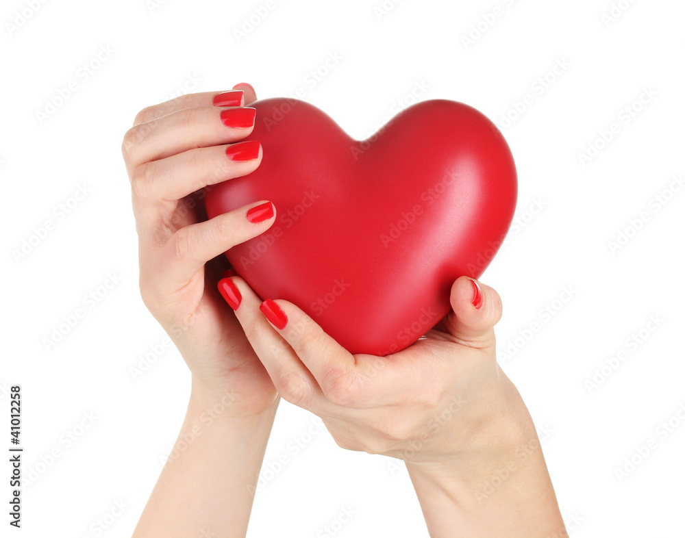 Red heart in woman's hands isolated on white Red heart in woman's hands isolated on white