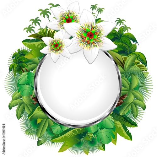 Fiore della Passione Icona Cristallo-Passion Flower Web Button