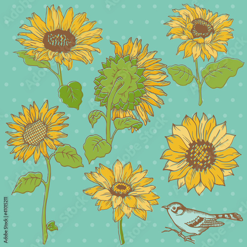Fototapeta Naklejka Na Ścianę i Meble -  Flower Set: Detailed Hand Drawn Sunflowers in vector