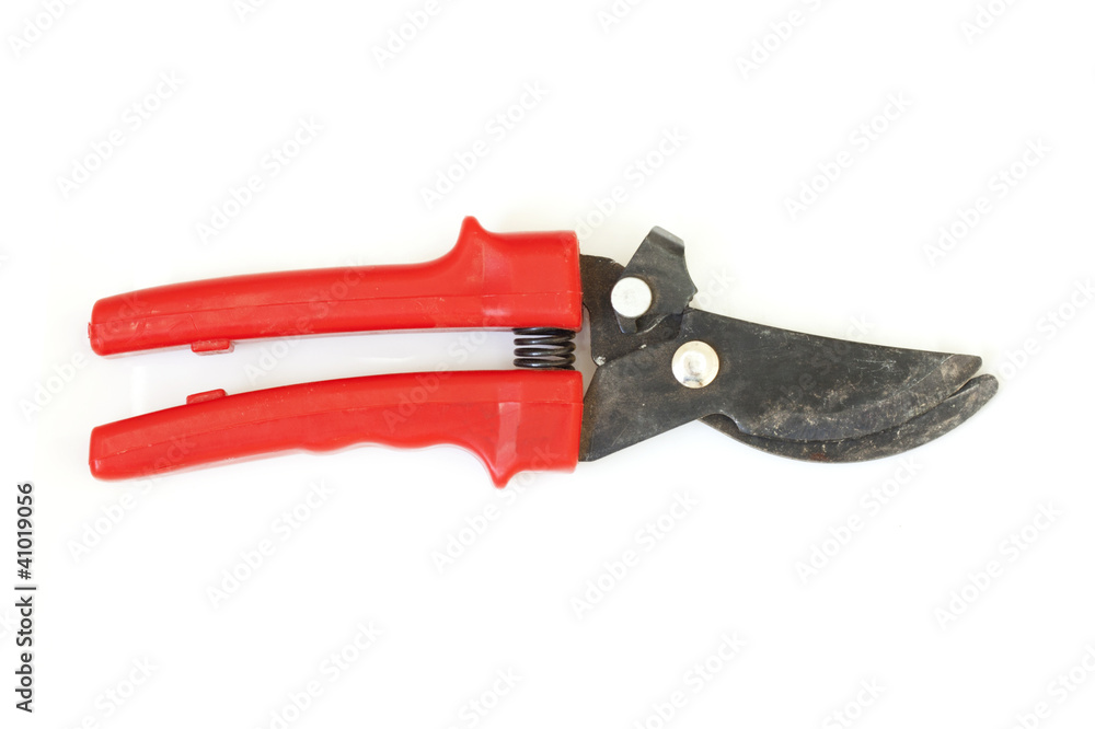 pruner red on a white background pruner red on a white background