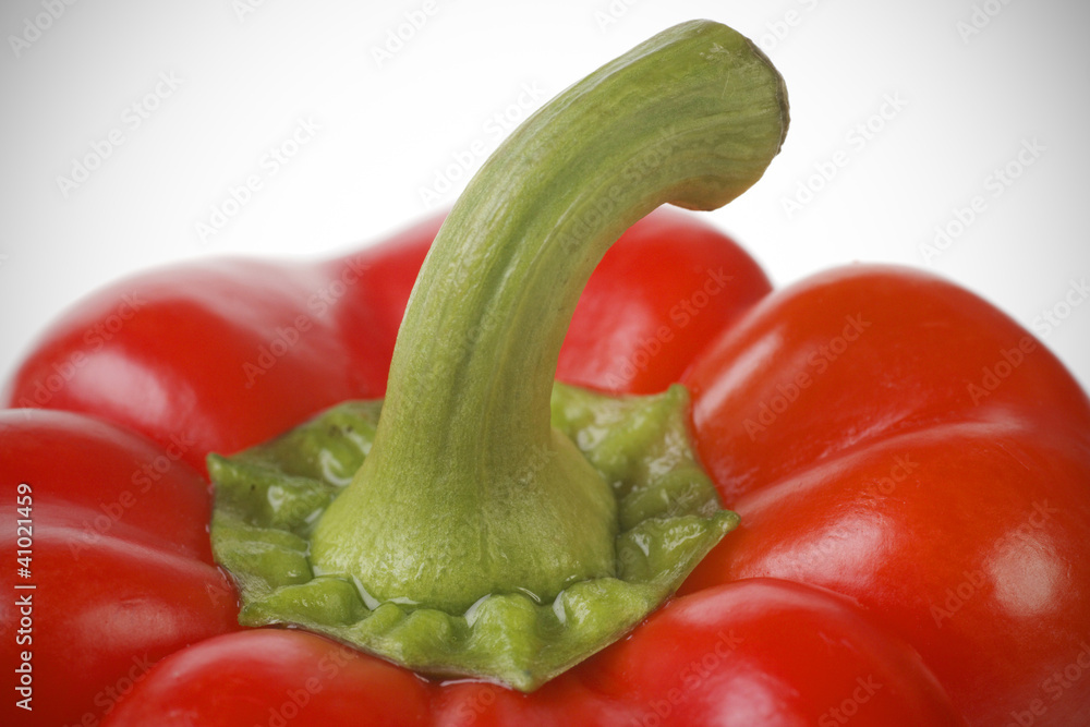 Bright red pepper closeup