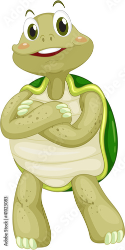 Animated turtle