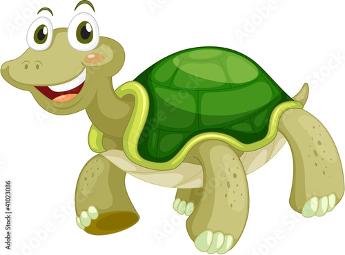 Animated turtle