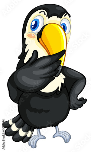 Toucan