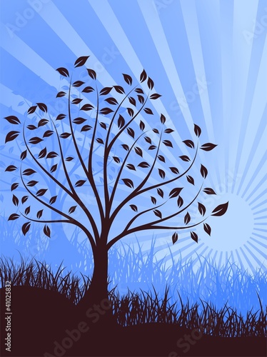 tree against sunrise