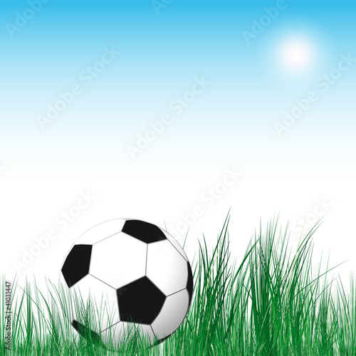 Soccer Ball background. Soccer ball in the green grass.