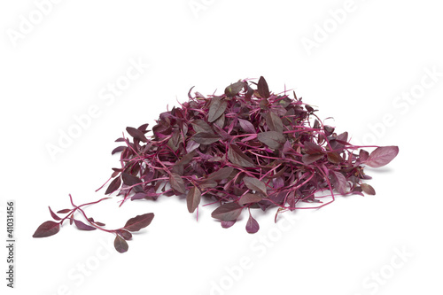 Red Amaranth sprouts